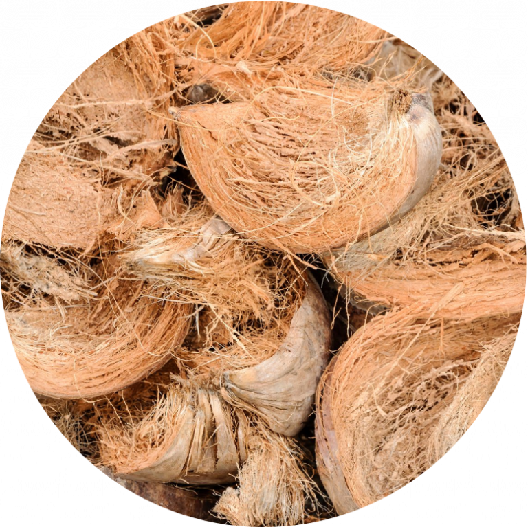 Coconut coir vs Peat moss and Rockwool LUCKY PLANTS